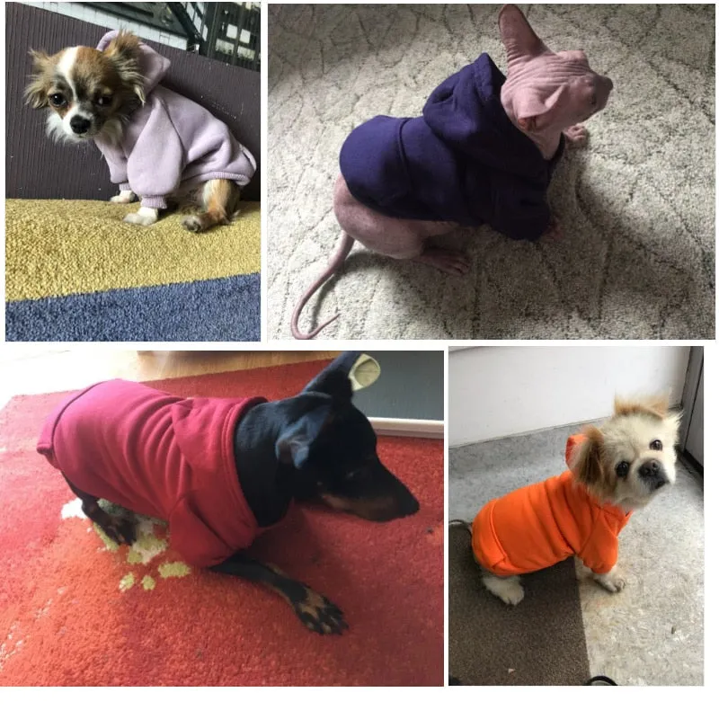 Autumn Basic Plain Dog Hoodies