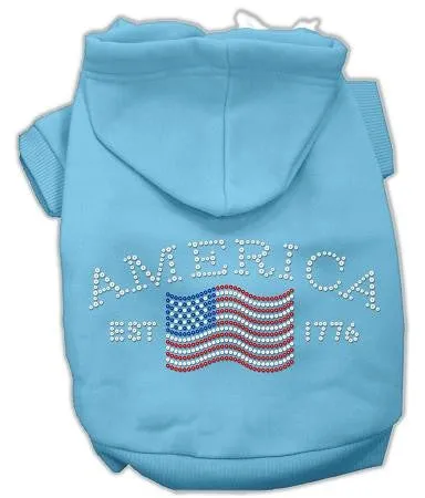 Classic American Hoodies Baby Blue M (12)