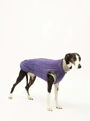 WeatherFlex Insulated Dog Jacket